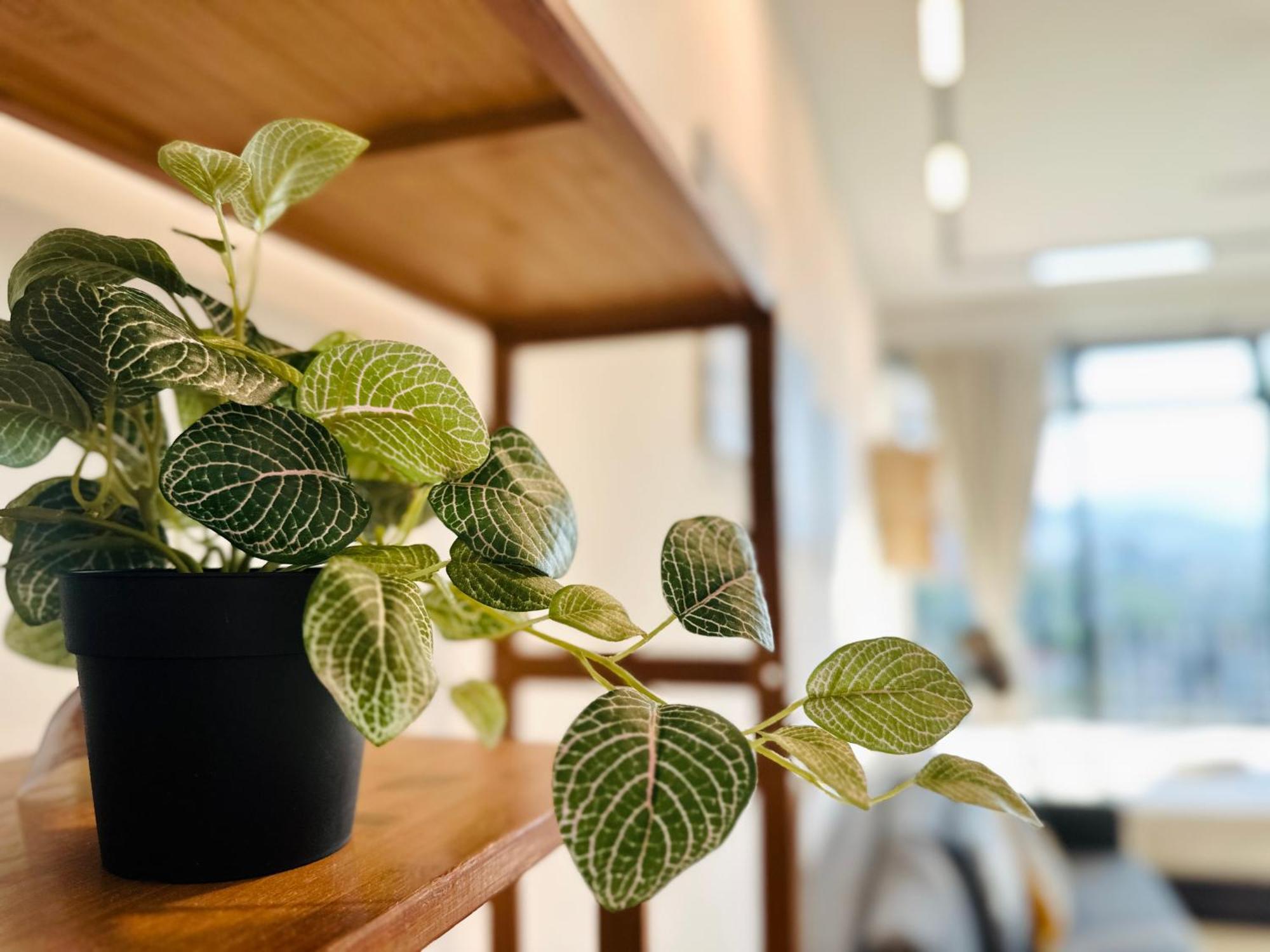 New Georgetown Instagramable 2Br Homestay For 10Pax 无敌美景两房民宿 Beacon Executive Suite Exteriér fotografie
